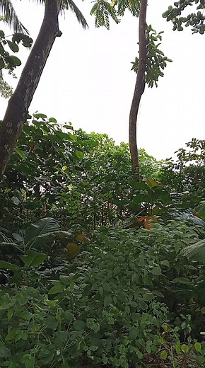 642K views · 12K reactions | Nindot kaayo ang view...naa sa comment section ang combination | Tete Eyoy | Facebook