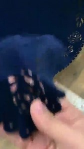 CUTWORK SHAWL PRICE 2200 Velvet Fabric Shawl Four side laser cutwork Original 90 inch Shawl *100% Pure Microvelvet * •BoTtLE GrEEN Inbox For Inquiries & Ordering WhatApp/SMS +923042472862 Cash on delivery DC APPLY Huna Dc Apply | Fusions & Fashions | Facebook