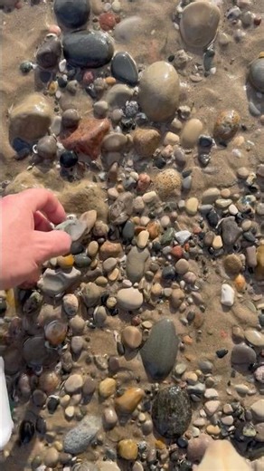 Just wondering around in the shallows #rockhound #rocks #agate #stone #minerals #rockhounding