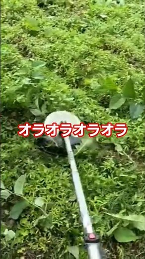 【爆速草刈り】雑草を一気に制圧！マキタ充電式草刈機×軽快チップソーが強すぎる！Makita Battery Brush Cutter DESTROYS Overgrown Weeds! 🌿⚡