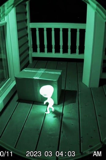 Small glowing alien sneaks onto porch and attempts to carry a package