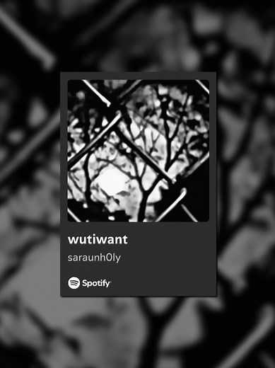 wutiwant #saraunholy #lyricsvideo #felpyswz | Lyrics Video