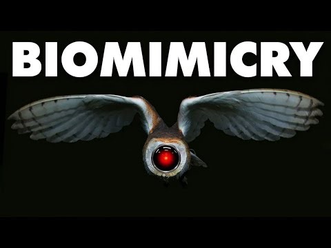 Biomimicry: How Nature Inspires the Future