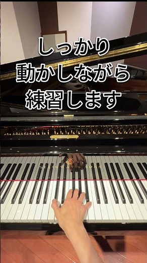 Easy ♪ Octave Distributed Practice