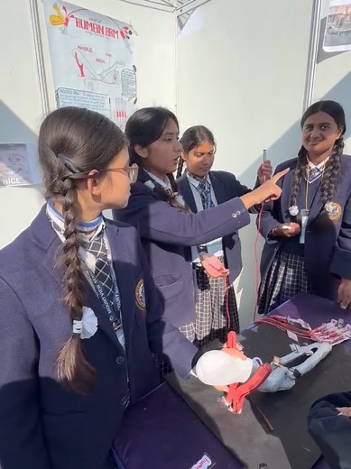 Innovative Human Arm Model by Mount View School Students