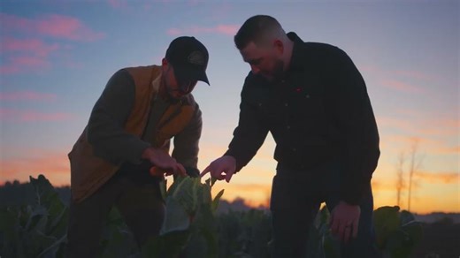 From field to fork | Loblaw Companies Limited