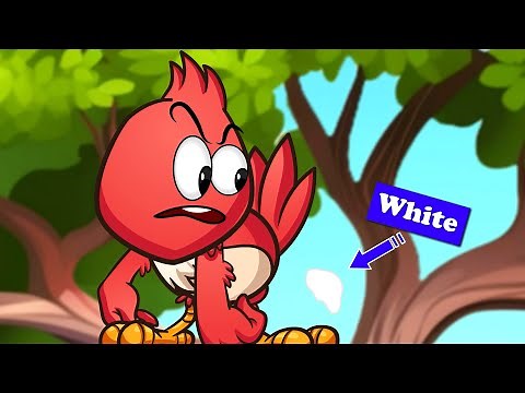 Why Is Bird Poop White? + more videos | #aumsum #kids #cartoon #science