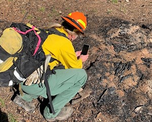 Cedar Creek Fire's size trimmed a bit, to 125k acres; now 75% contained