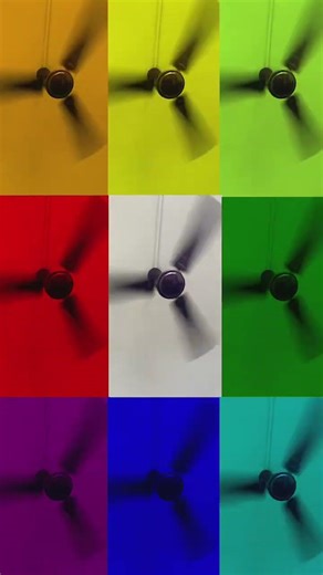 6 Colours Ceiling Fan #memes #trending