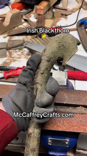 Handmade Irish Blackthorn Shillelagh Crafting Guide