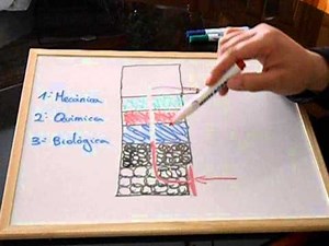 COMO COLOCAR LA CARGA EN EL FILTRO DE UN ACUARIO.