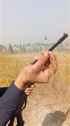 Air Gun Target Practice Bullseye Every Time Air Rifle Accuracy Challenge