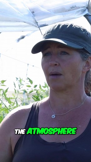 1.5K views | Small Scale Farming Secrets: Grow More, Need Less Land! * Ever wondered how much food you could actually grow in your own backyard? Share your biggest challenge or dream for growing your own food below! * Full video: "Finding Peace & Tranquility In Your Job with Small Scale Farming" by Limitless Growth Co (@limitlessgrowthco) featuring Karla Cox (@plottwistfarmsbc) * #LimitlessGrowth #GrowWithLGC | Limitless Growth Co | Facebook