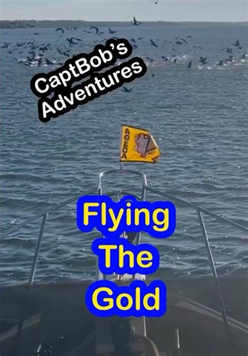Solo Great Loop Complete – Gold Looper