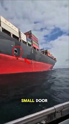 The Actual Function Of The Door On The Side Of The Ship #shorts
