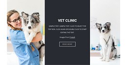 Veterinary services - Template by Nicepage