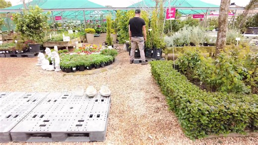 115 reactions · 13 comments | Step Into Spring at Floradale Nurseries – Gardens + Coffee Await! From the moment you drive through our gates, you’ll feel it — the buzz of the season, gardens bursting with colour, and the coffee shop veranda waiting for you. Come early, plants and tables fill fast! #FloradaleNurseries #TheRoseGardenCoffeeShop #PortElizabeth #Gqeberha #GardenCentreVibes #CoffeeWithAView #GardenLoversSA #WeekendVibesPE #BloomAndBrew | Floradale Nurseries | Facebook