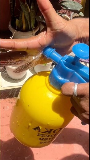 Manual Garden Sprayer problem fix #shorts #diy