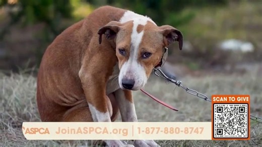 ASPCA TV Spot, 'Every Minute Counts'
