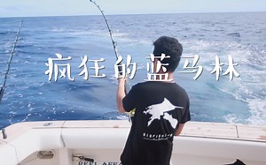 上次这样钓鱼的，好像被鱼插中了ಠ_ರೃ【新西兰大鱼俱乐部】钓老人与海的【蓝马林鱼】，最后放生