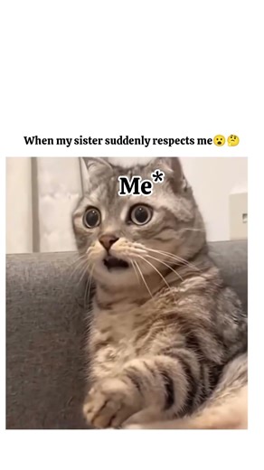 kuch toh kam haii😏😂#trending#shorts#youtubeshorts#viral#relatable #reels#funny#cat #anime #fun #maa