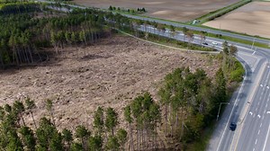 City not providing sufficient data around tree canopy following derecho, critic says