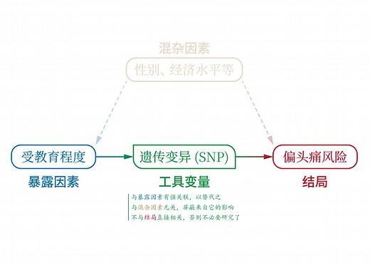 孟德尔随机化 - 从入门到实践 | 自学 | 小白 | 代码 | 原理