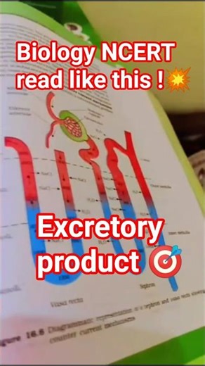 How to read Biology NCERT 🔥| #shorts#studyvlog#viralvideo #shortvideo#biology#class11 #studytips