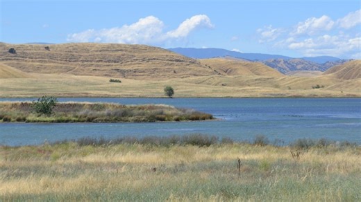 California issues draft conditional approval for key Sites Reservoir water right