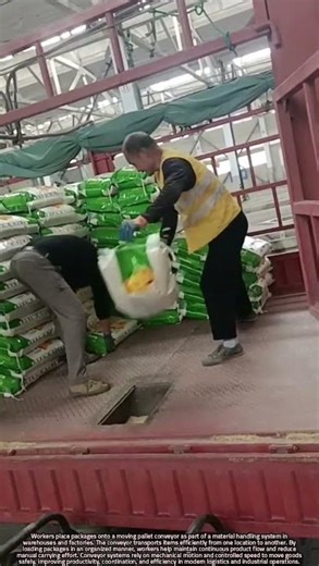 Scientific Principles of Loading Packages onto a Moving Pallet Conveyor