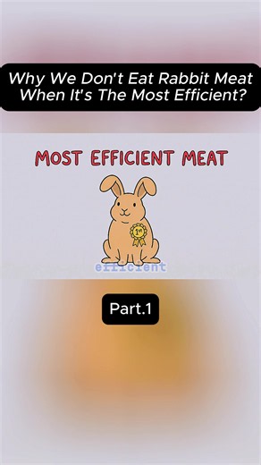 Why Don't We Eat Rabbit Meat Even Though It Is the Most Efficient?