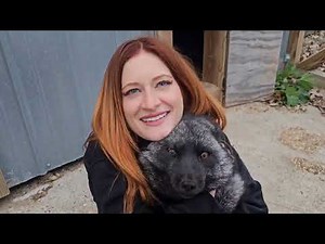 A Saveafox update, from Ruby fox!