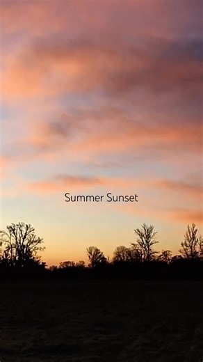 Summer Sunset & Singing Crickets #cricketsounds #cricketlover #sunsetasmr #sunsetview