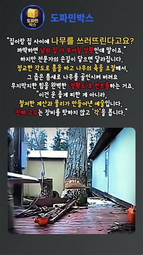 나무를자르는방법