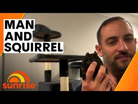 The incredible bond between a man and a squirrel | Sunrise