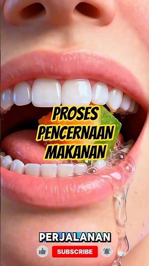 Digestive Process in the Human Body #education #biology #viralshorts