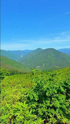 Breathtaking View from the Mountain Peak! The Best Gift from Nature