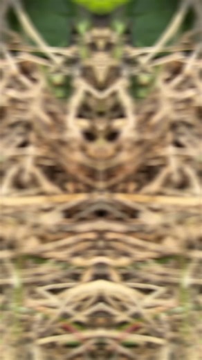 🚨 NEW ITEM ALERT 🚨 Diamond Custom LLC now offers CUSTOM CAR WRAPS! 🚗✨ Got a design, logo, or idea you want to see on your ride? Bring your vision and we’ll bring it to life! From bold business branding to creative personal designs — we’ve got you covered. Turn your vehicle into a rolling advertisement or statement piece. 💎 Custom Designs 💎 Business Branding 💎 Personal Wrap Designs 💎 High-Quality Prints ⚠️ PLEASE NOTE: We provide the custom wrap design and print only. WE DO NOT INSTALL. Ch