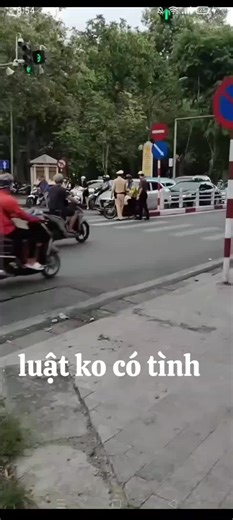 Urban Intersection Dynamics: Traffic and Pedestrian Behavior