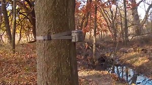 3 steps for better trail camera photos... Buck Commander | Wildgame Innovations