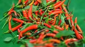 10 meilleures recettes avec Siling Labuyo : plats philippins épicés