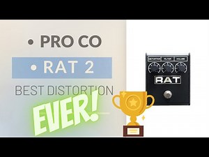 PRO CO RAT 2 | The best distortion pedal EVER! | TEST