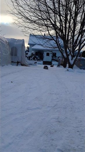 traxxas TRX4 Bronco 79 Winter ❄️ #traxxas #trx4 #rccar