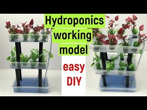 hydroponics - hydroponic farming model - hydroponics working model - hydroponic system - easy diy