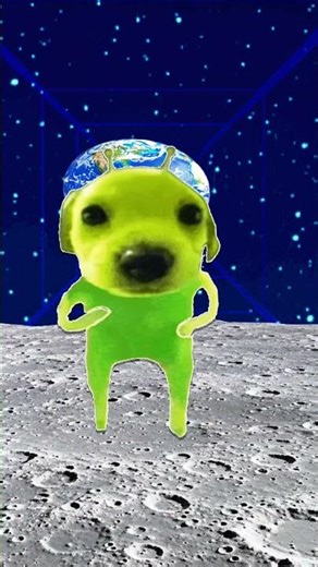 the alien dog knows where I live