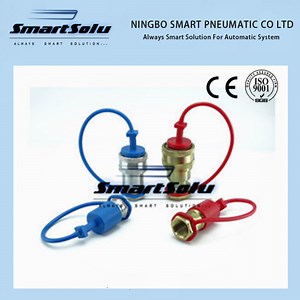 [Hot Item] ISO Quick Disconnect Coupling (Steel) and Stainless Hydraulic Quick Coupling