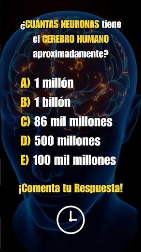 😳🧠 El 90% FALLA: ¿CUÁNTAS NEURONAS tiene el CEREBRO HUMANO aproximadamente? 🤔💡