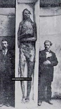 What if earth once had giant trees? #enoch #ancienthistory #mystery