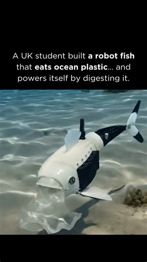 Business I AI I Tech I Wealth on Instagram: "A fish that eats plastic… and powers itself. 🐟⚡🌊 Meet Gilbert — a robotic fish designed by a UK student that swims like marine life while hunting microplastics. As it moves, it pulls in polluted water, traps tiny plastic particles, releases clean water, and then converts the collected waste into energy to keep going. No cords. No constant charging. This isn’t just eco-tech — it’s a founder mindset prototype. Biomimicry + AI-driven syst