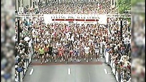 To everyone who has ever raced, volunteered, or cheered during Pig Weekend during these past 25 years, this is for you ❤ 🥹 | Flying Pig Marathon